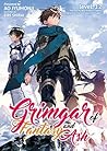 Grimgar of Fantasy and Ash by Ao Jyumonji