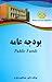 بودجه عامه by پوهاند دوکتور عبدالقیوم عارف