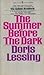 The Summer Before the Dark