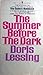 The Summer Before the Dark