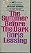 The Summer Before The Dark
