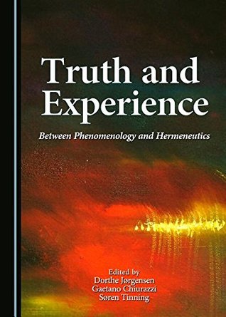 Truth and Experience: Between Phenomenology and Hermeneutics (Hardcover)