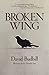 Broken Wing by David Budbill