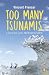 Too Many Tsunamis by Vincent Pienaar
