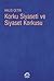 Korku Siyaseti ve Siyaset Korkusu