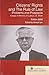 Citizens Rights And The Rule Of Law Problems And Prospects Es... by Venkat Iyer