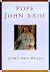 Pope John Xxiii by Anthony F. Chiff