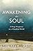 Awakening the Soul: A Deep Response to a Troubled World