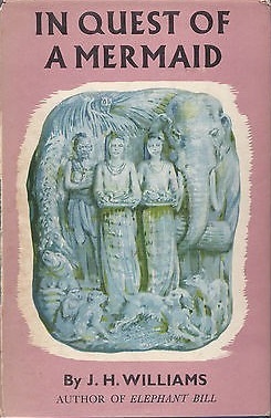 In Quest of a Mermaid (Hardcover)