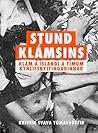 Stund klámsins : klám á Íslandi á tímum kynlífsbyltingarinnar