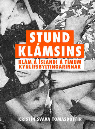 Stund klámsins : klám á Íslandi á tímum kynlífsbyltingarinnar (Hardcover)