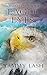 Eagle Eyes: Descendants of ...