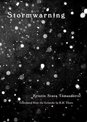 Stormwarning (Paperback)