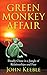 GREEN MONKEY AFFAIR by John Keeble