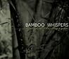 Bamboo Whispers: Poetry of the Mangyan Bamboo Whispers: Poetry of the Mangyan