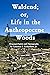 Waldend; or, Life in the An...