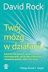 Twój mózg w dział...