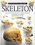 Skeleton