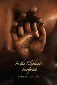 In the Elephant’s Footprint (ebook)