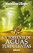 Un torrente de aguas turbulentas by Madeleine L'Engle Un torrente de aguas turbulentas by Madeleine L'Engle