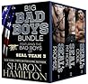 Big Bad Boys Bundle