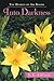 The Diaries of Abi Rhode by S.L. LeClair