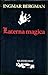 Laterna magica by Ingmar Bergman
