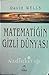 Matematiğin Gizli Dünyası