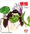螞蟻 (漢聲精選世界最佳兒童圖畫書.科學教育類, #8) 螞蟻 (漢聲精選世界最佳兒童圖畫書.科學教育類, #8)