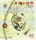 水中小世界