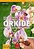 Orkide by Frank Röllke