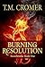Burning Resolution (Stonebrooke, #1)