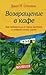 Возвращение в кафе. Как избавиться от груза проблем и поймать волну
