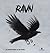 Ravn - corvus crokax