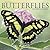John Hendrickson's Butterflies 2019 Calendar by John Hendrickson