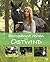 Entspannt reiten mit Ostwind (Die Ostwind-Sachbuch-Reihe 2) (German Edition)