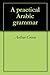 A practical Arabic grammar
