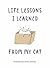 Life Lessons I Learned From My Cat