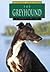 The Greyhound (Learning About Dogs)