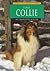 The Collie (Learning About Dogs)