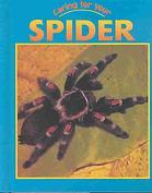 Caring for Your Spider