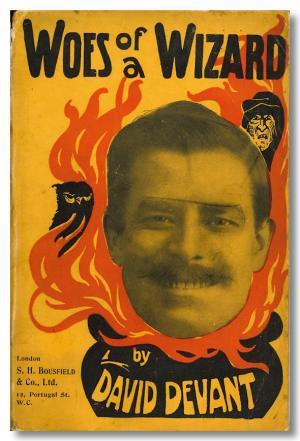 Woes of a Wizard (Hardcover)
