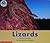 Lizards (Reading Discovery)