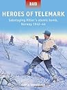 Heroes of Telemark by David Greentree