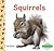 Squirrels by Julie Murray