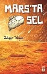 Mars'ta Sel by Zübeyir Tokgöz