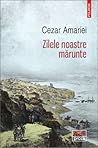 Zilele noastre mărunte by Cezar Amariei