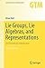 Lie Groups, Lie Algebras, and Representations: An Elementary Introduction (Graduate Texts in Mathematics, 222)