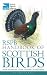 RSPB Handbook of Scottish Birds by Peter Holden RSPB Handbook of Scottish Birds by Peter Holden
