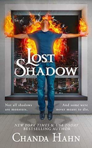Lost Shadow (Neverwood Chronicles, #3)